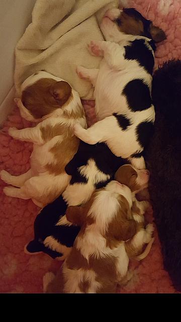 20171016 125524