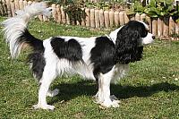 2014-03-12 (01) - Kopie