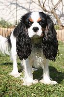 2014-03-12 (04) - Kopie