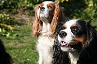 2014-03-12 (11a)
