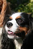 2014-03-12 (11b)