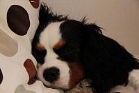 IMG 2502