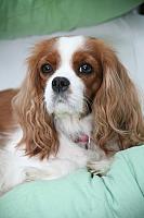 2013-10-12 (16a)