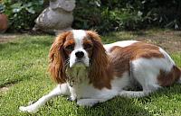 IMG 6589