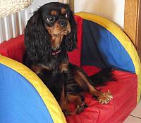 DSCF0312 - Kopie
