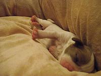 DSCF0688