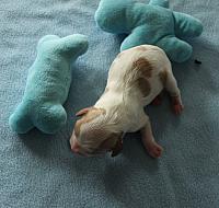 IMG 8731