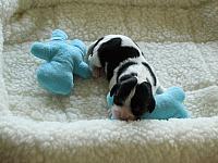IMG 8864