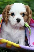 2013-10-12 (10b)