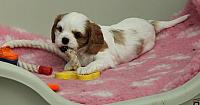 IMG 6390