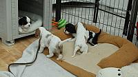 IMG 6199