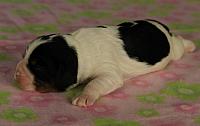 IMG 0247