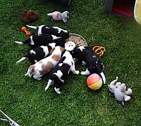 DSCF5495