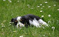 IMG 2483