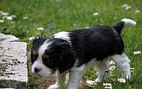 IMG 2492