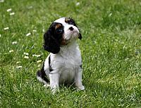 IMG 2457