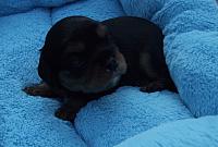 DSCF5914